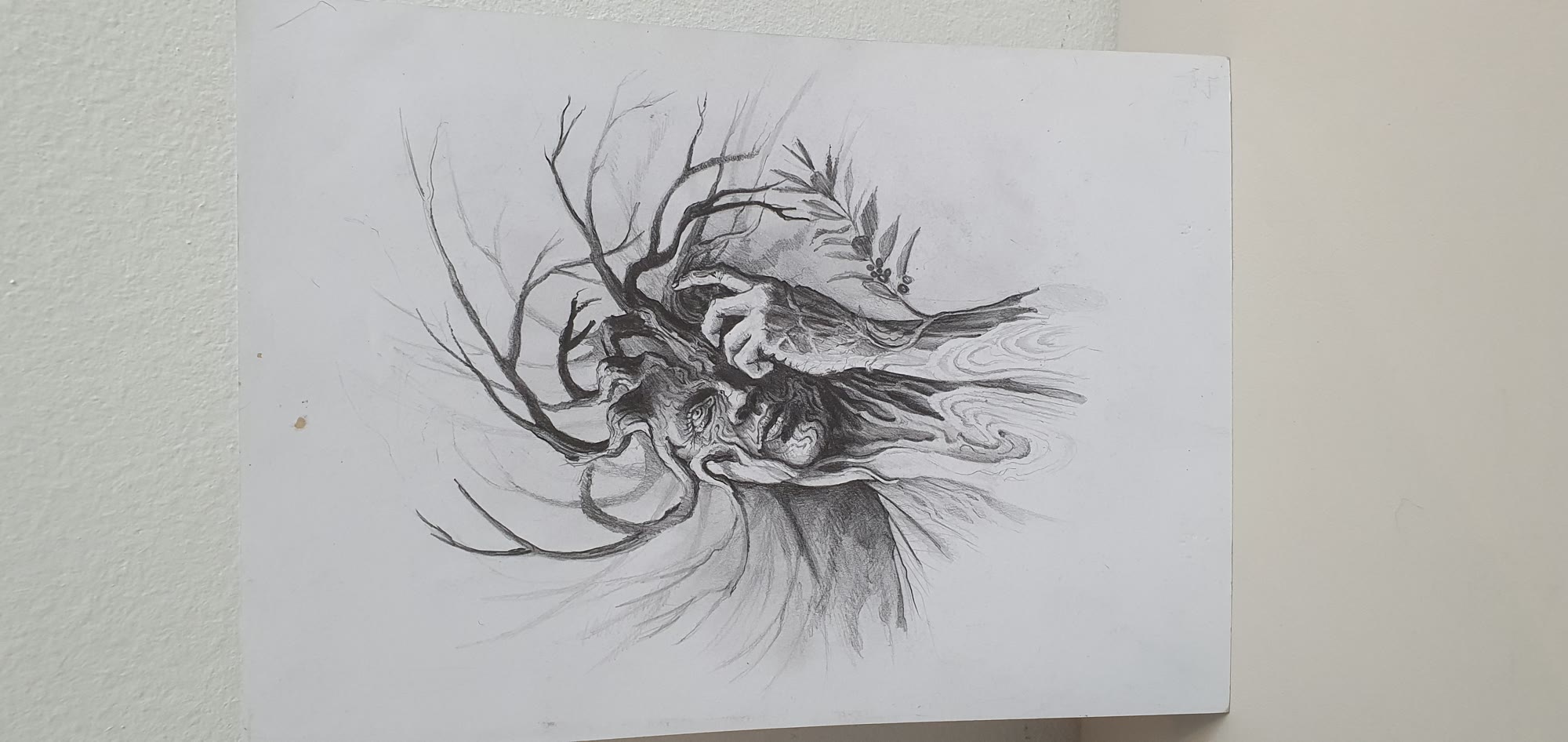 Cara árbol, boceto 2018