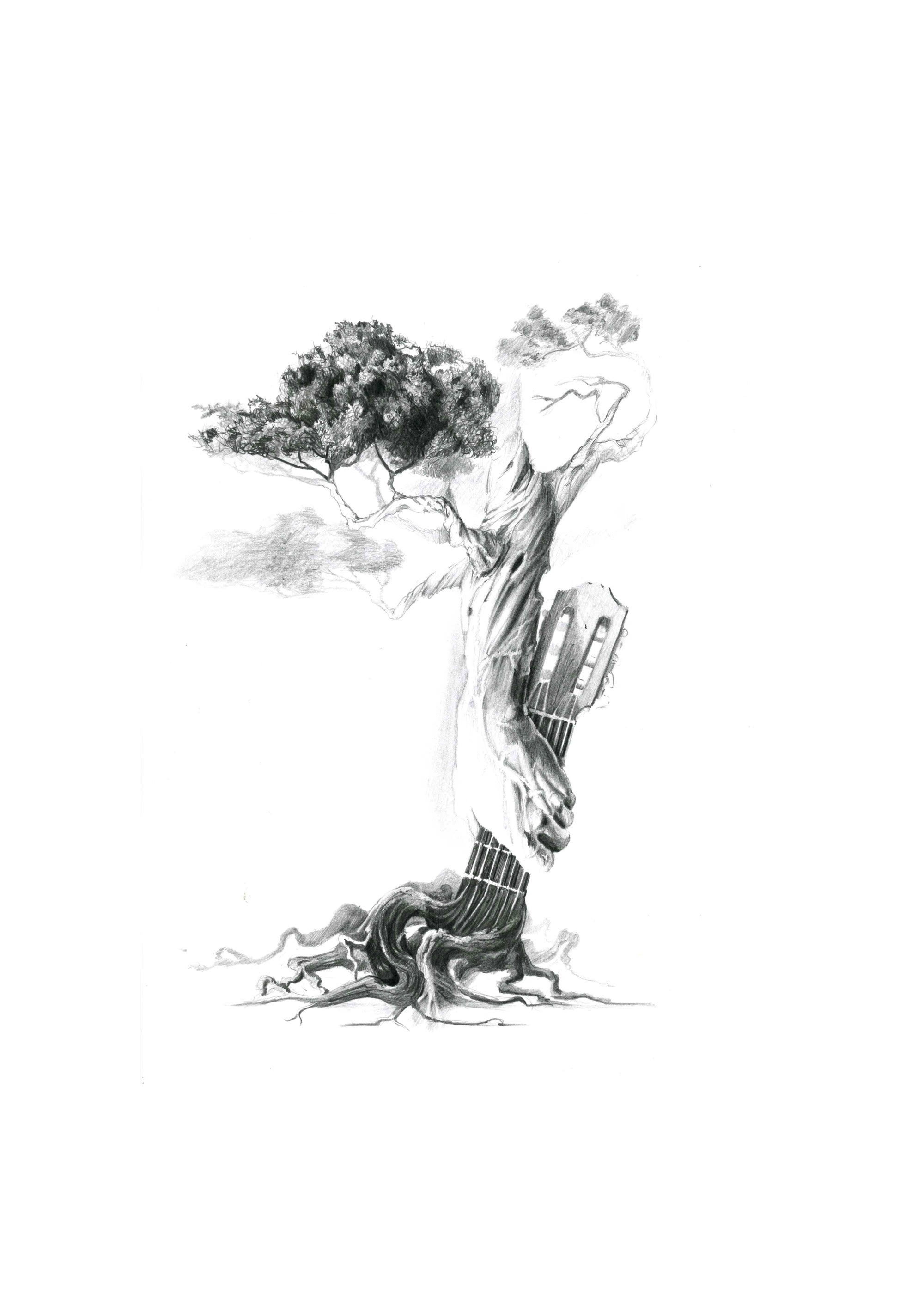 Guitarra árbol, dibujo