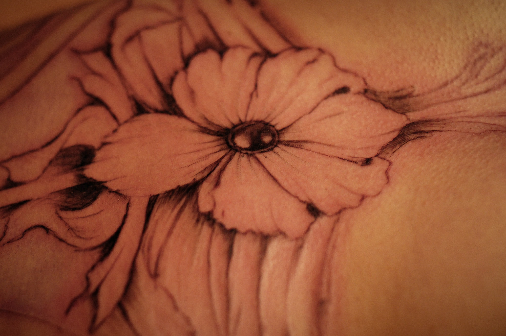 Proceso creativo · 38